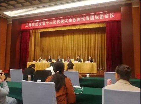 江苏省妇女第十三次代表大会苏州代表团组团会议