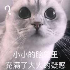 疑惑